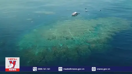 Australia nỗ lực “giải cứu” Great Barrier