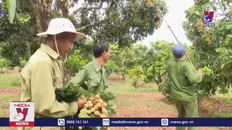 Dư địa để nông sản Việt chinh phục thị trường trong nước