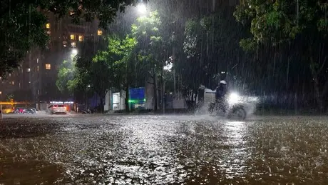 Hà Nội khẩn trương dọn dẹp cây xanh gãy đổ, tiêu thoát nước sau mưa lớn