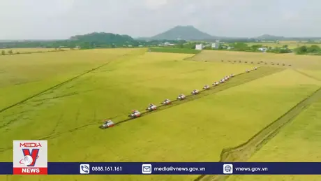 ĐBSCL đẩy mạnh sản xuất lúa gạo phát thải thấp