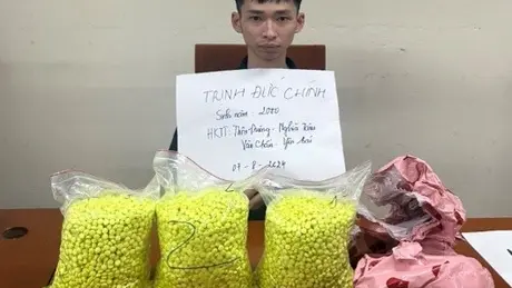 Hà Nội: 'Bóc' đường dây vận chuyển, mua bán 15.000 viên ma tuý tổng hợp