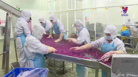 Nhật trình kinh tế ngày 24/8/2024