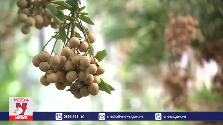 Hiểu đúng về tiêu chuẩn Halal để chinh phục thị trường toàn cầu