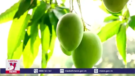 Thái Lan chi hơn 3.000 tỷ đồng mua rau quả Việt