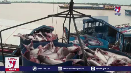 Việt Nam đứng thứ 3 thế giới về xuất khẩu thủy sản