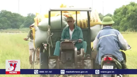 Quảng Bình không còn bỏ hoang đất lúa vụ Hè Thu