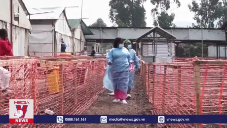 WHO kêu gọi quyên góp ứng phó với đậu mùa khỉ