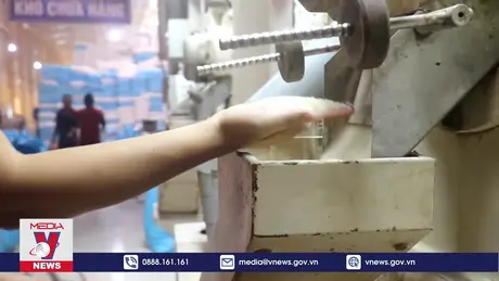 Gạo “giảm phát thải” chờ đầu ra
