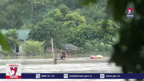 Bản tin thời sự 8h ngày 25/8/2024