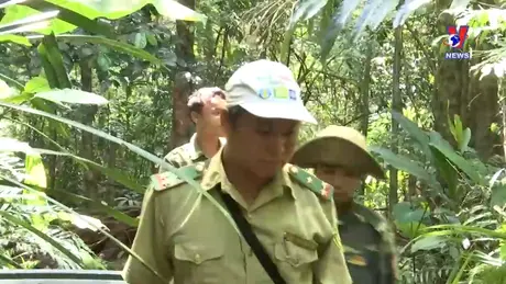 Việt Nam - Góc nhìn từ thế giới ngày 25/8/2024