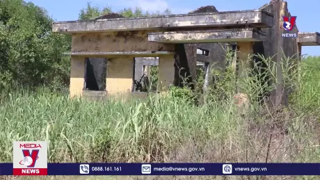 Lãng phí đất tái định cư bỏ hoang tại thành phố Quảng Ngãi 