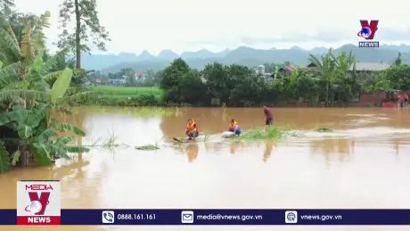 Mưa lũ gây thiệt hại tại Cao Bằng 