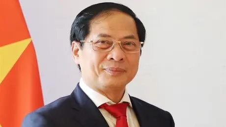 Tóm tắt tiểu sử Phó Thủ tướng Chính phủ Bùi Thanh Sơn