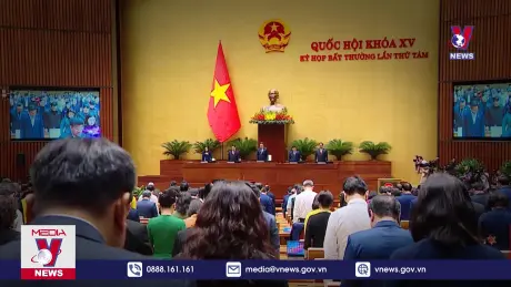 Bản tin thời sự 11h ngày 26/8/2024