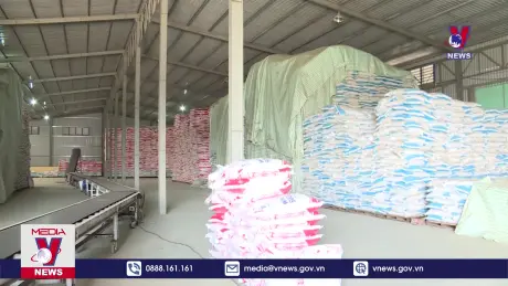 Bản tin thời sự 8h ngày 26/8/2025