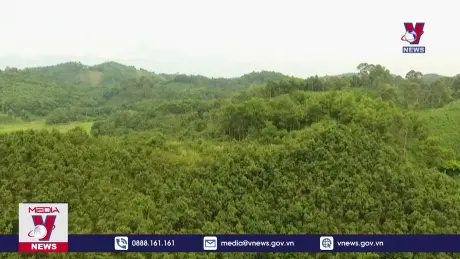 Phê duyệt quy hoạch lâm nghiệp quốc gia