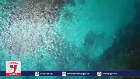 LHQ cảnh báo mực nước biển Thái Bình Dương dâng cao