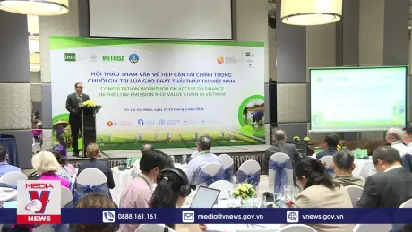 Huy động nguồn tài chính cho đề án 1 triệu ha lúa chất lượng cao