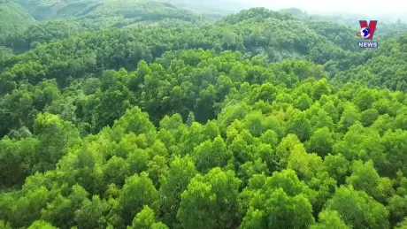 Nhật trình kinh tế ngày 27/8/2024