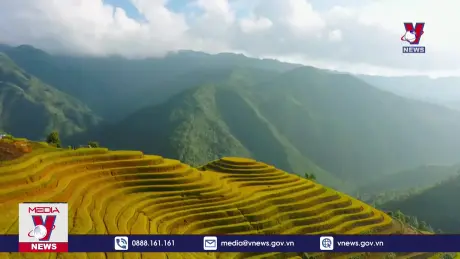 Đến Mù Cang Chải trải nghiệm bay trên mùa vàng dịp lễ