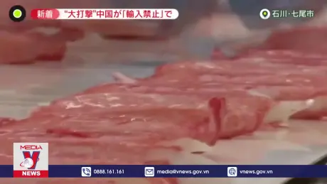 Nhật Bản đề nghị Trung Quốc bỏ lệnh cấm nhập khẩu hải sản