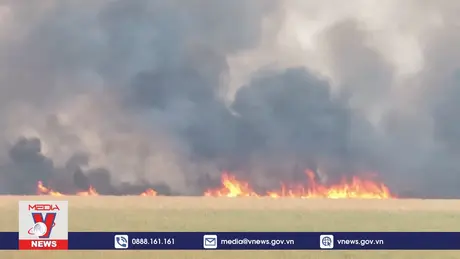 Quan ngại về chất lượng không khí tại Brazil