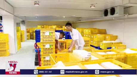 Xuất khẩu 150.000 liều vaccine dịch tả lợn châu Phi 