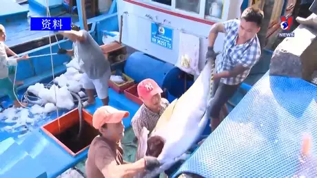 越通社新闻 - Bản tin tiếng Trung ngày 28/8/2024