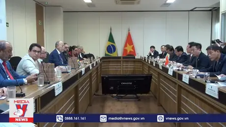Thúc đẩy quan hệ Việt Nam - Brazil phát triển lên tầm cao mới