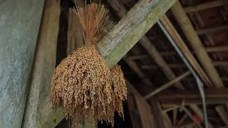 Mường Ải - Xóm Mường cổ đẹp nhất Hòa Bình