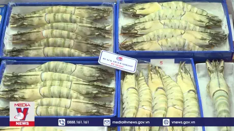 Xuất khẩu thủy sản cạnh tranh bằng chất lượng