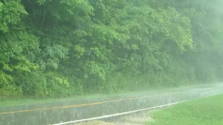 Tây Nguyên và Nam Bộ cục bộ có mưa to đến rất to trong đêm 28/8