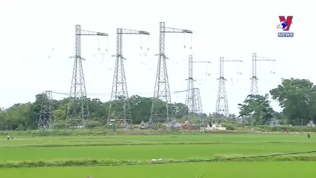 Nhật trình kinh tế ngày 29/8/2024