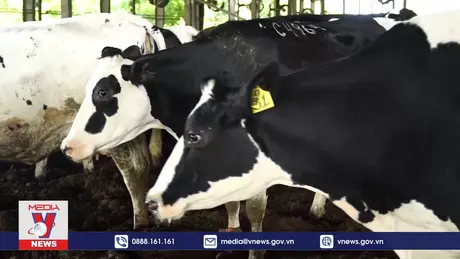 Mô hình kinh tế tuần hoàn hiệu quả tại TH