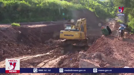 Kon Tum đấu giá gần 725 m3 gỗ từ chuyển đổi đất rừng