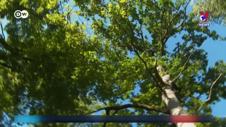 Tạp chí toàn cầu ngày 30/8/2024