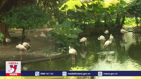 Công viên Cửu Long - ốc đảo xanh giữa lòng Hong Kong (Trung Quốc)