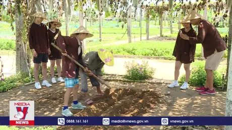 Làng rau di sản ở Hội An hút khách Tây