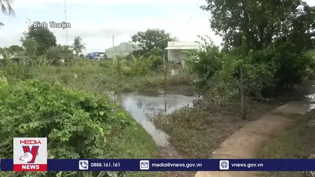 Người dân Bình Thuận tập trung khắc phục hậu quả sau mưa lũ