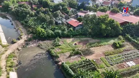 Đối thoại Hà Nội: Buông lỏng quản lý hoạt động chăn nuôi