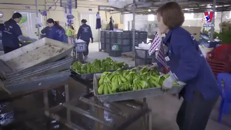 Nhật trình kinh tế ngày 30/8/2024