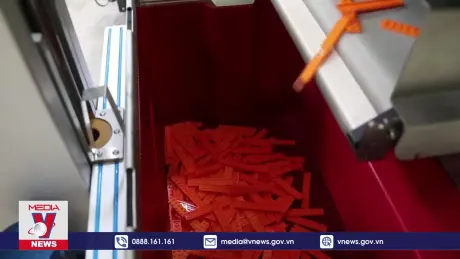 LEGO phát triển chất liệu thân thiện môi trường