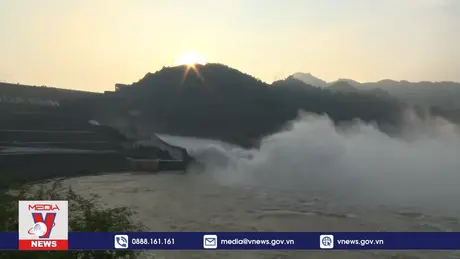 Bảo vệ cây trồng vùng bãi khi xả lũ liên tục