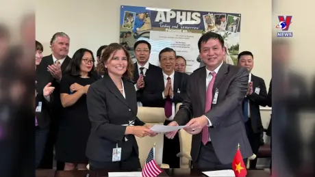 Nhật trình kinh tế ngày 31/ 8/ 2024