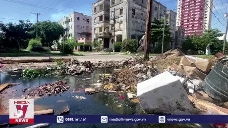 Cuba nỗ lực ngăn chặn dịch Oropouche