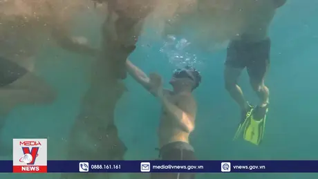 Hành động vì môi trường biển