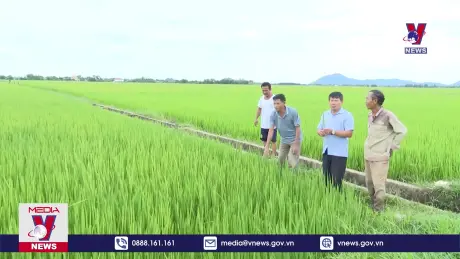 Tăng phụ cấp, nâng cao chất lượng cán bộ cơ sở 