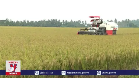 Xuất khẩu gạo tiếp đà thắng lợi cho cả năm 2024