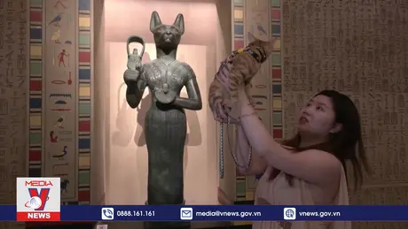 Độc đáo triển lãm dành cho du khách và mèo cưng ở Trung Quốc