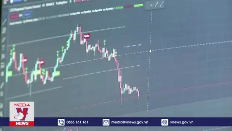 Các nhà đầu tư tiền điện tử ủng hộ bà Kamala Harris